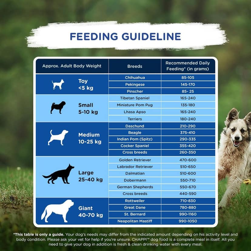 Chappi Adult (1+ Years) Dry Dog Food, Chicken & Rice view 6