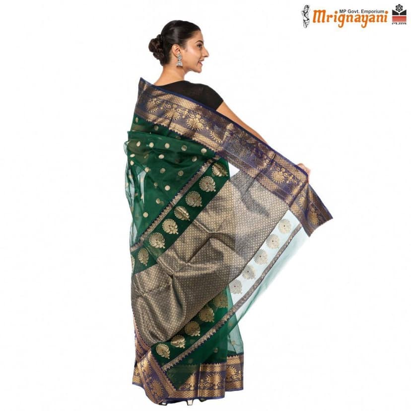 HANDLOOM CHANDERI SILK SAREE WITH BLOUSE (SKU -SC201130122, SAREE - 10121) view 2