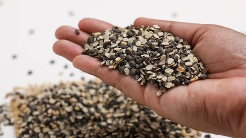 Urad Dal Pack of 3 view 3