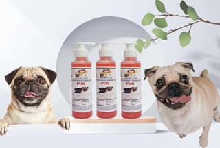 SWACCH Premium Shampoo for Pug (200ML) (Pack of 3) Strawberry