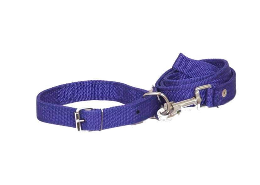 Nawani Standard Collar and Leash Dog Belt, Color As Per Availability view 2