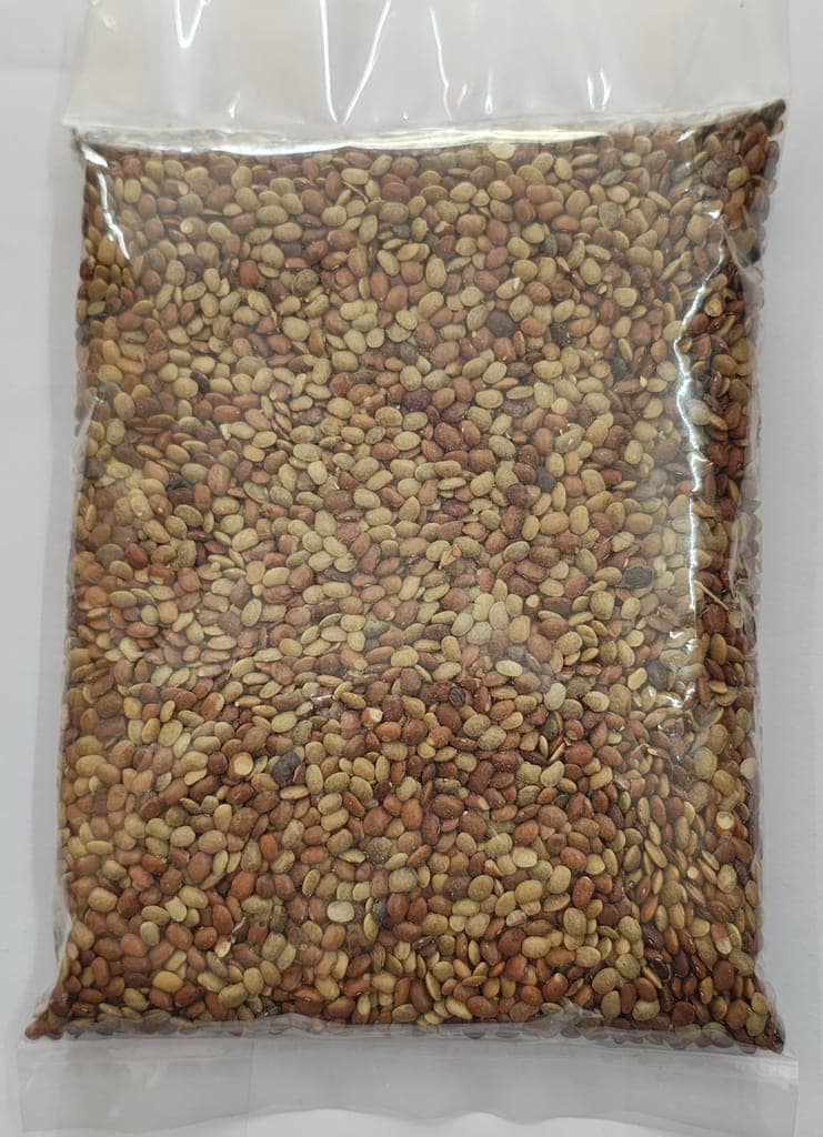 HORSE GRAM view 2