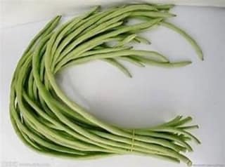 Cowpea - Lobiya - Chawali - 500 gm