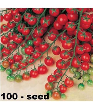 homeagro - Tomato Vegetable ( 100 Seeds )