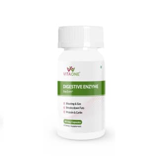 VitaOne Digestion Support Capsules