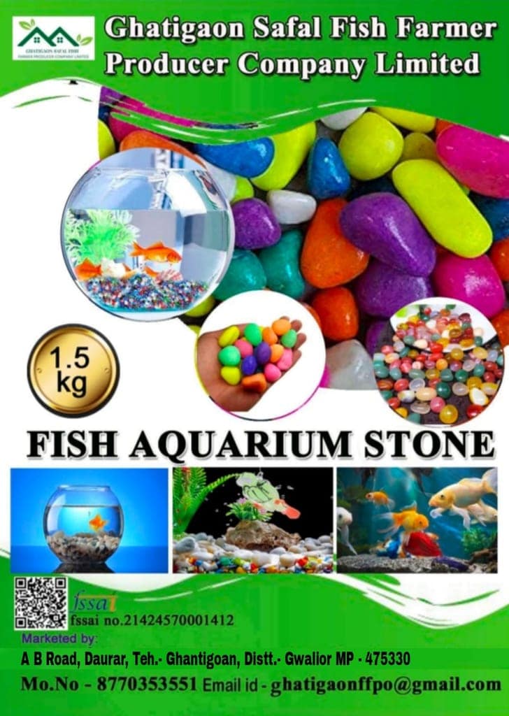 Fish aquarium stone view 3