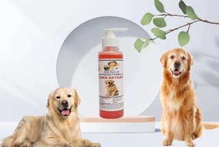 SWACCH Premium Shampoo for Golden Retriever (200ML) Jasmine