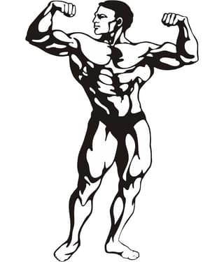 Asmi Collection Body Builder Wrestler Wall Stickers for Gym Sticker ( 40 x 60 cms )