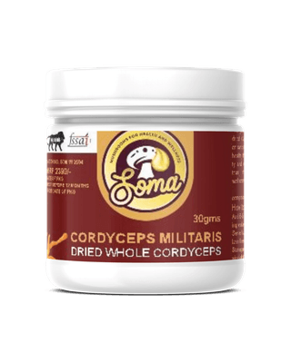 SomaShrooms Cordyceps Whole Dried