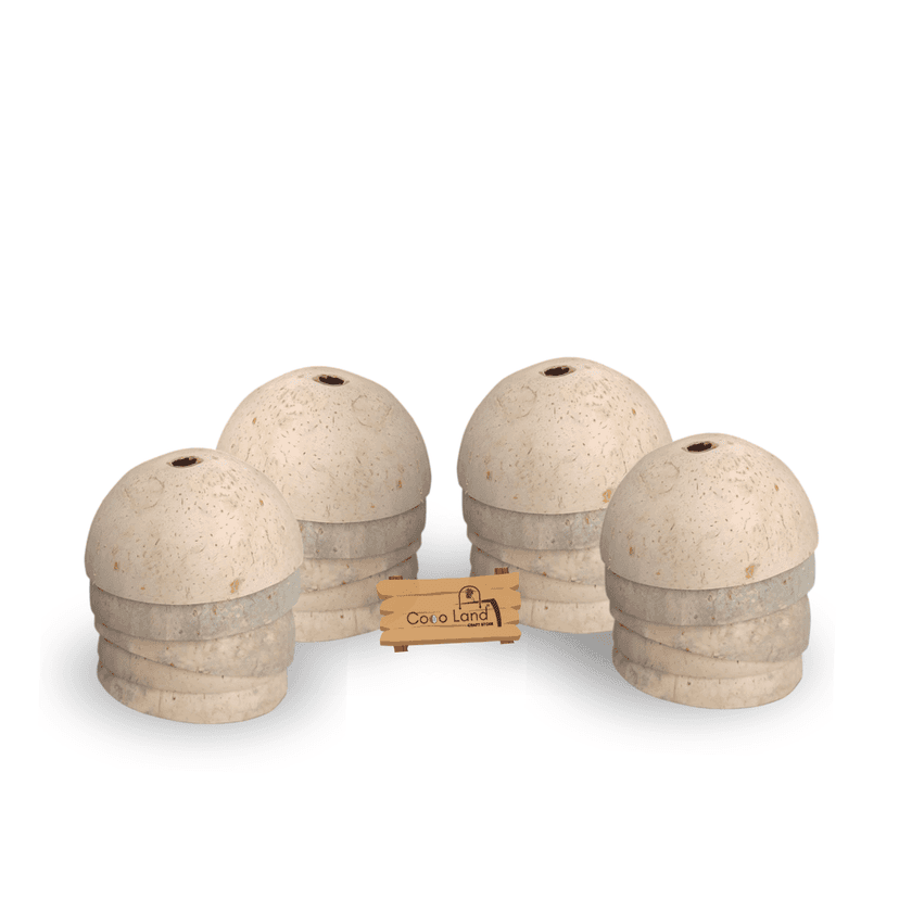 Coco Land White Holed Coconut Shell Finished Raw Craft | Decorative Pots,Craft Making | Handicraft,Agricraft
