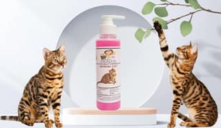 SWACCH Premium Shampoo for Bengal CAT (200ML) Rose