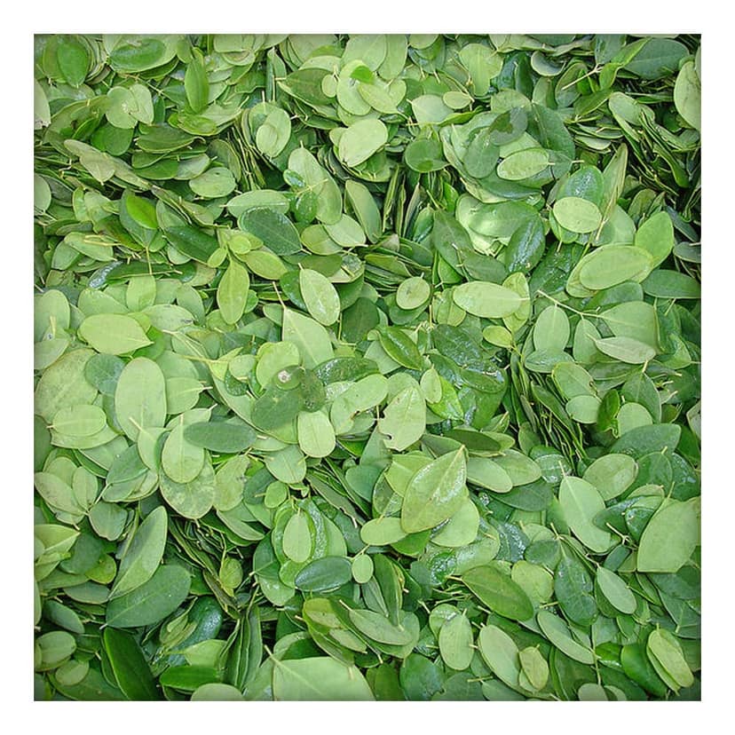 Moringa Leaves Millet Noodles 200gm view 5