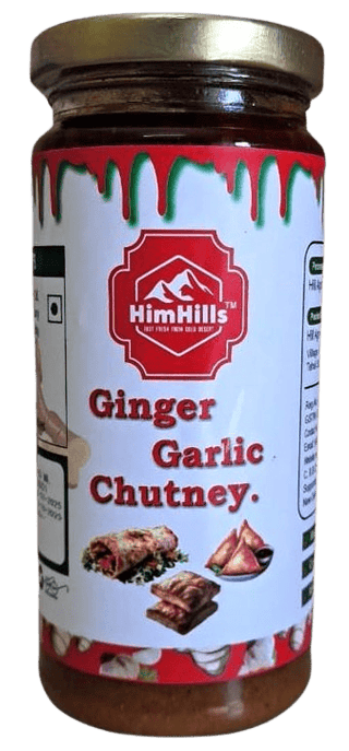 Ginger Garlic Chutney