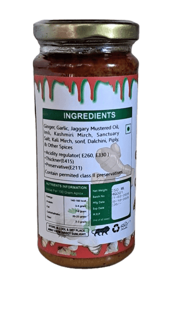 Ginger Garlic Chutney view 2