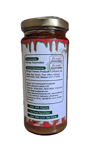 Ginger Garlic Chutney view 3