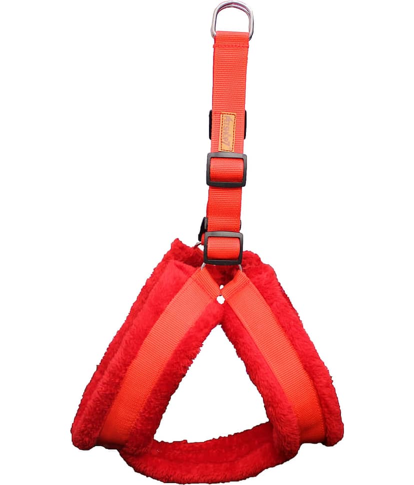 Petshop7 - Red Dog Combo (Large) view 4