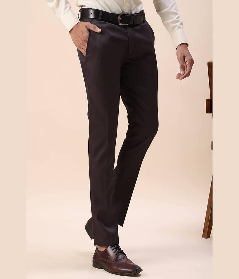 MOUDLIN Regular Men's Formal Trouser - Black ( Pack of 1 ) view 2