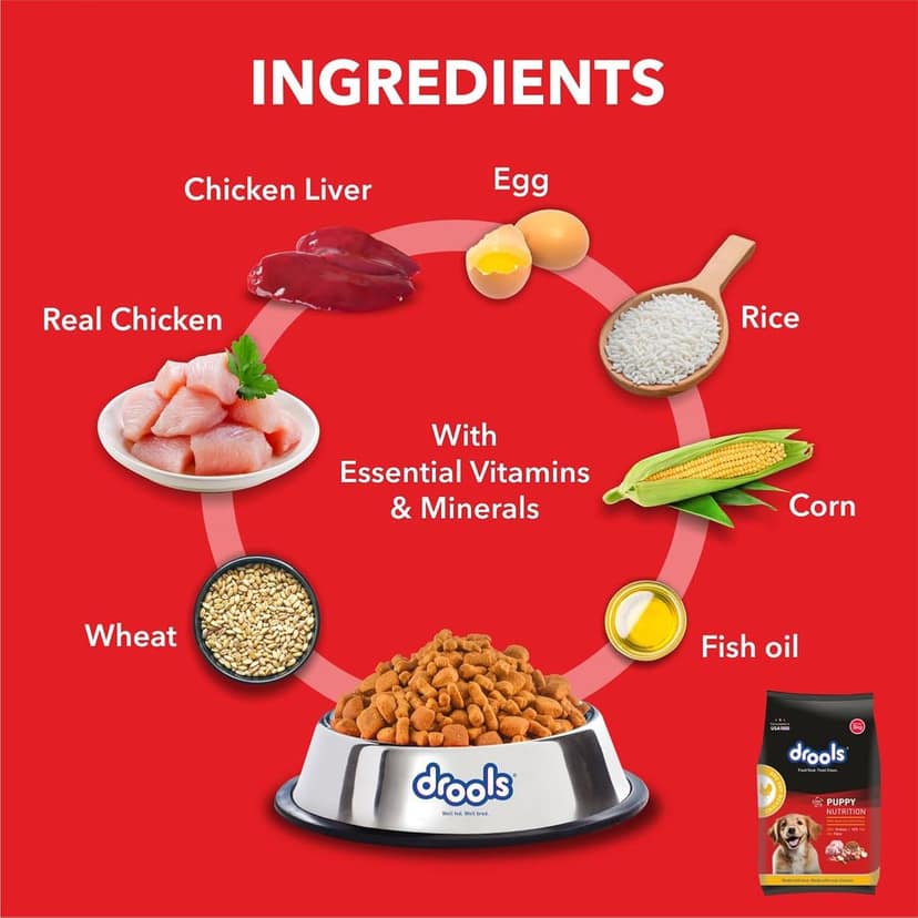 Drools Puppy Dry Dog Food Chicken and Egg view 5