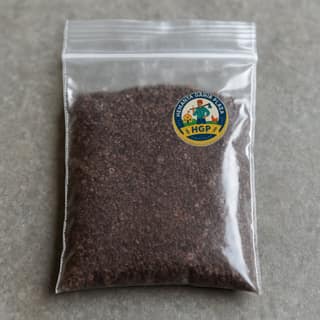 Hemanta Gahir Plaza's black salt powder