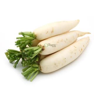 SS RADISH WHITE
