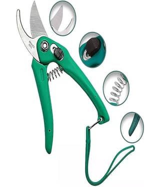 Gardening Tool size 7 inch.Set Stainless Steel Garden Pruner/Scissors, Pruning Seeds, Flower Cutter and Grass Cutter,