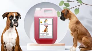 Swacch Shampoo Specially Formulated for Boxer (5 Litre) Jasmine