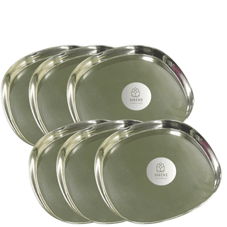 SHINI LIFESTYLE Stainless Steel Serving Plate, Rice Plate, Dinner plates, Steel Thali (Dia-24cm, 6pc)
