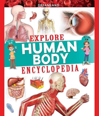 Explore Human Body Encyclopedia