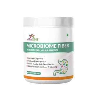 VitaOne Healthy Stomach Formula