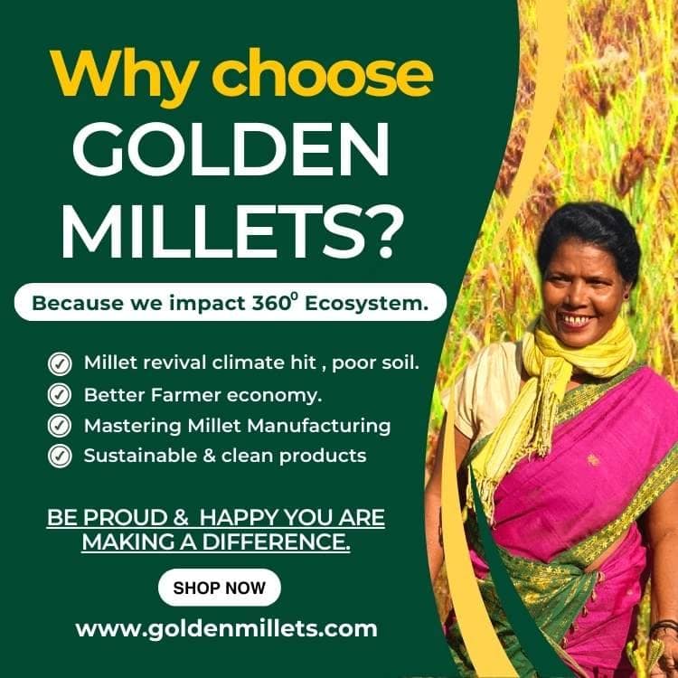 Golden millets Bajra/Pearl Millet Flakes (250gm,Pack of 3) view 4