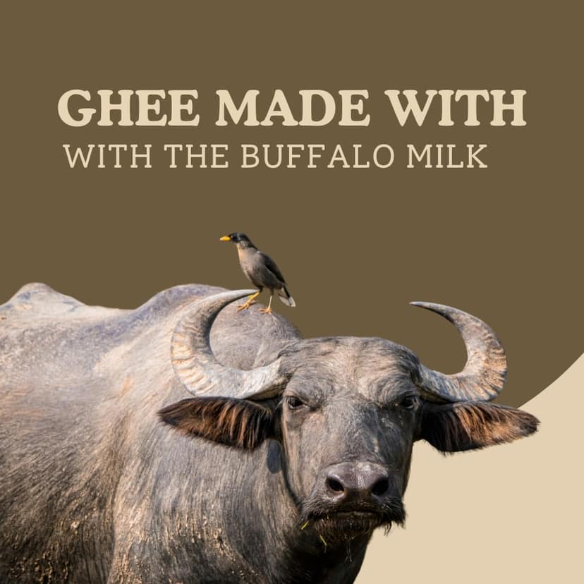 Anugraha Organic Grass-Fed Buffalo Ghee | Pure Desi Bilona Ghee | Cultured Vedic Ghee | 100% Natural & Traditional Processed (500 ml Pack of 6) - 3 Litre view 3