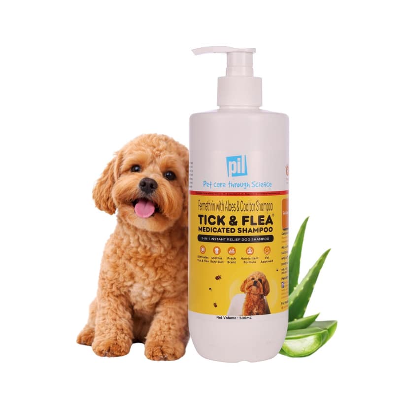 Tick And Flea Dog Shampoo - 500ml