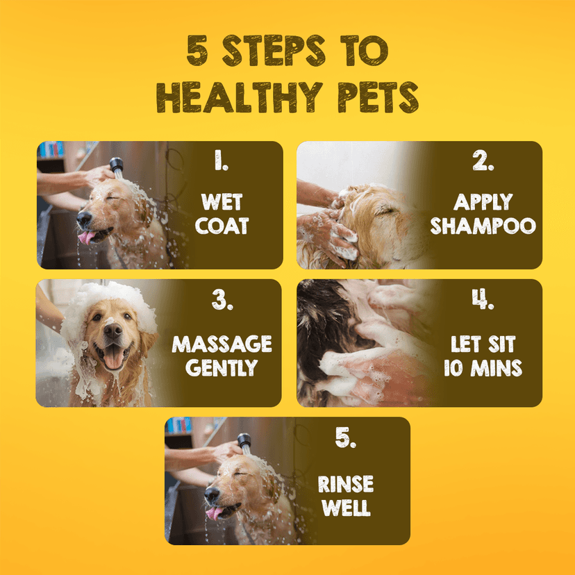 Tick And Flea Dog Shampoo - 500ml view 6
