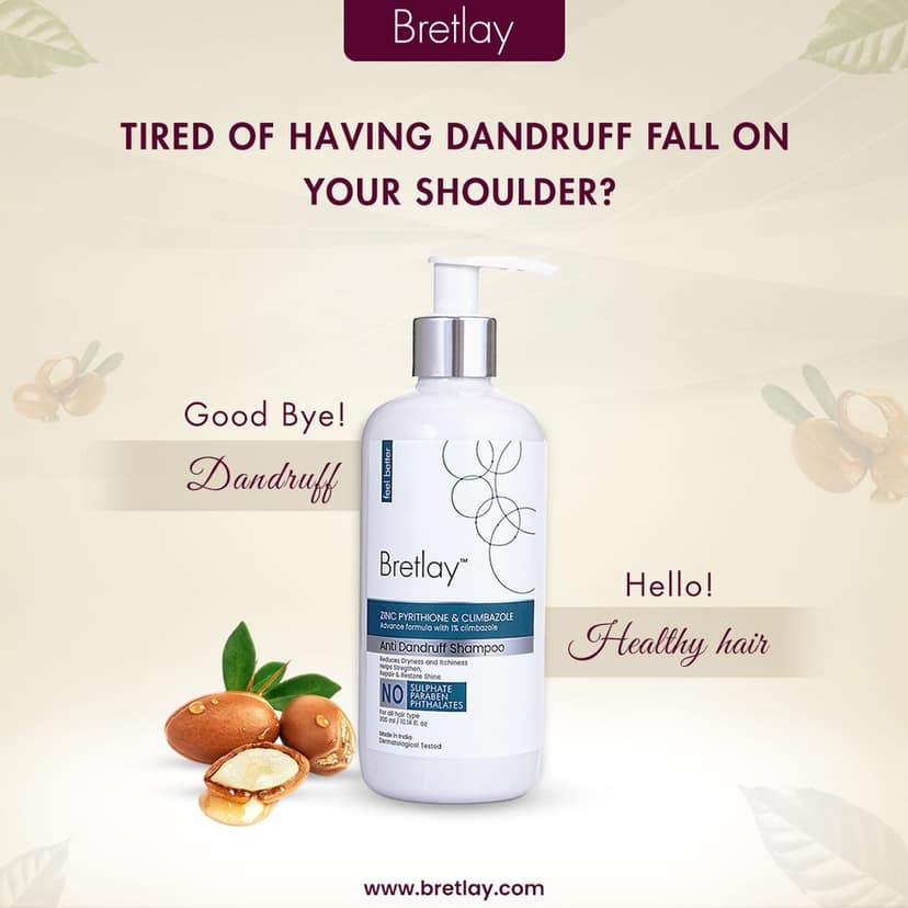 Bretlay Zpto & Climbazole Shampoo, Controls Dandruff & Provides Deep Conditioning, Suitable for All Hair types, For both Men & Women (300ml) view 3