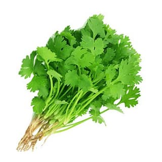 Coriander Leaves Whole Bunch