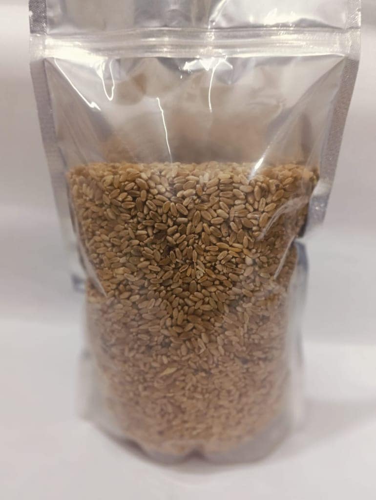 Whole Wheat Grains 1 kg view 2