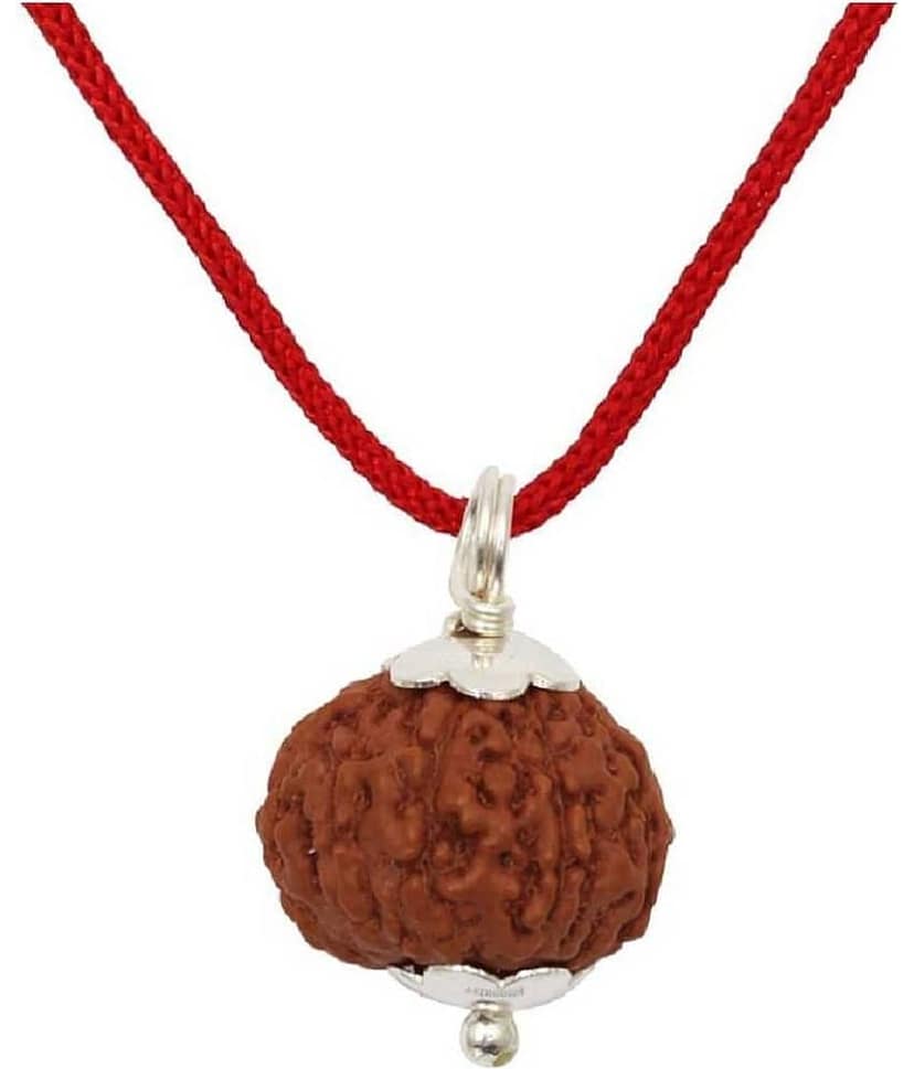 Astrodidi 9 Mukhi Rudraksha With Lab Certificate (Indonesian Java Rudraksha Approx 15 Mm Small Size)