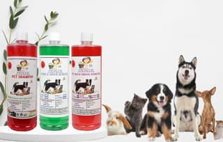 Swacch Shampoo (Strawberry) + Deodorizer (Rose) + Stain Remover (Jasmine) (1 Litre) (Pack of 2)