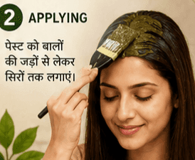 SHUSHRAJ JAIVIK Rajasthani Heena, Hibiscus & Shikakai Powder Combo | 80g Each | Natural Herbal Hair Care view 5