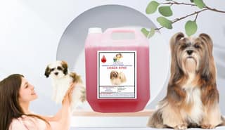 SWACCH Shampoo Specially FORMULATED for Lhasa APSO (10 Litre) Jasmine