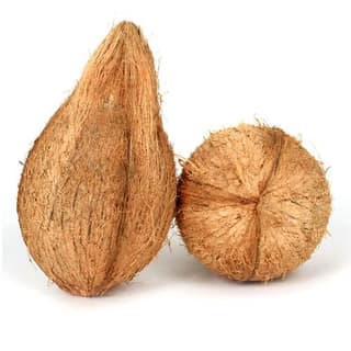 Fresh Coconut 1 pc