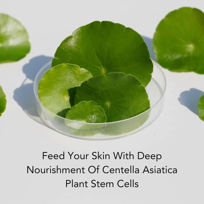 Tatha Skincare Combo: Firming Cream with Peptides & Centella Asiatica (50g) � Tightens Skin & Delays Wrinkles + Facelift Mask with Niacinamide & Centella Asiatica (50g) � Hydrates & Brightens Skin, Gentle Gel Mask, Paraben Free view 3