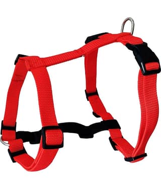 Petshop7 - Blue Harness ( Small )