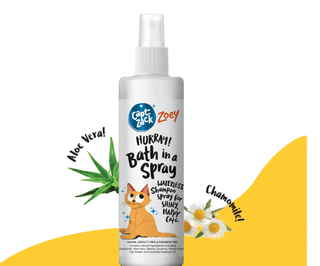 Capt Zack Zoey Hurry Bath In A Spray 250 Ml