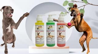 SWACCH Premium Shampoo for Great DANE (200ML) (Combo Pack of 3) Lemon, NEEM ALOVERA & Strawberry