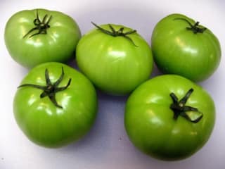 Tomato Green - Hare Tamatar - Hirve Tamatar - 500 gm