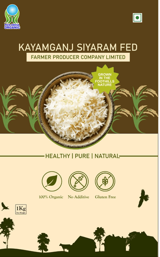 Rice