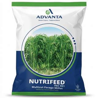 Nutrifeed (Multicut Forage Millet) - 500 gm - Per pack