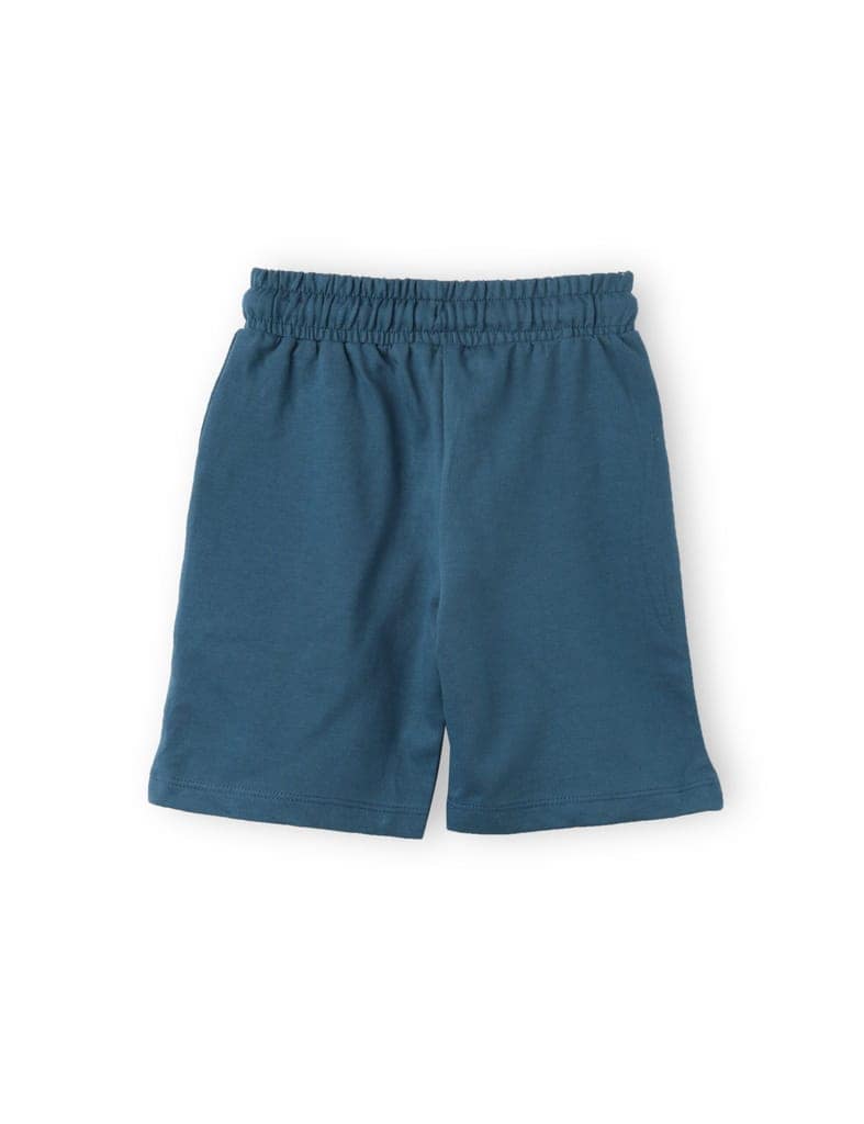 Boys Shorts Cotton French Terry Blue Coral Dino Crossing Zone view 4