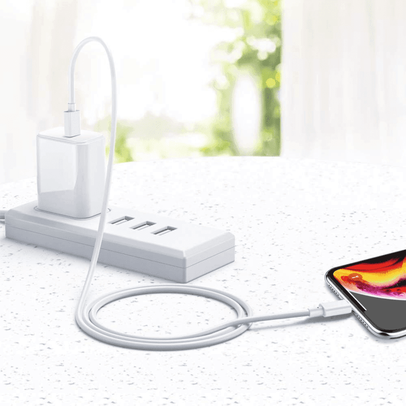 Champion Type-C to iPhone PD 27W Data Sync & Charging Cable PVC for all Apple & Lightning Port Devices (White) view 5